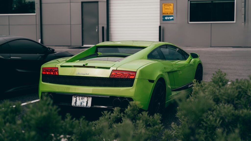 Green gallardo