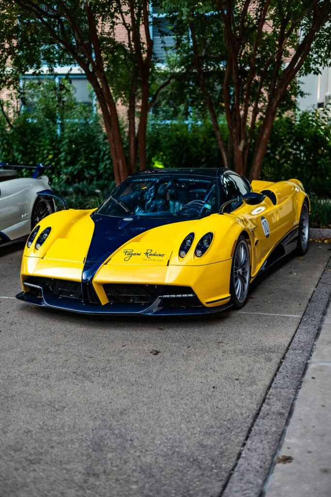 Yellow pagani